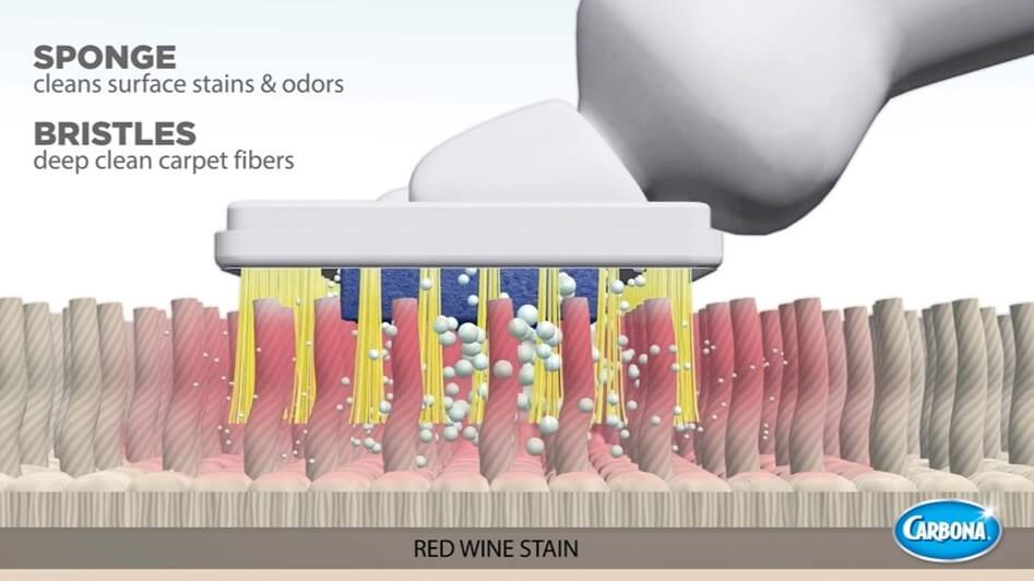 Cómo usar correctamente el limpiador de alfombras Carbona Cómo usar correctamente el limpiador de alfombras Carbona