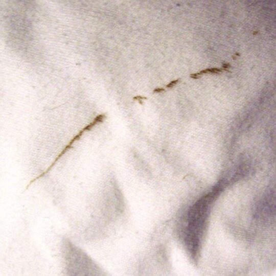 ¿Por qué aparecen rayas blancas en mi ropa después del lavado? Cómo deshacerse de esas manchas de una vez por todas