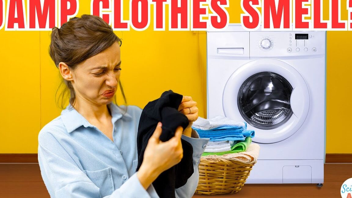 Por qué la ropa huele mal después del secado ¿Por qué la ropa húmeda huele mal?