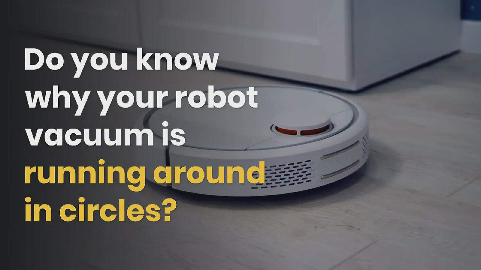 ¿La limpieza a vapor mata las pulgas y sus huevos?